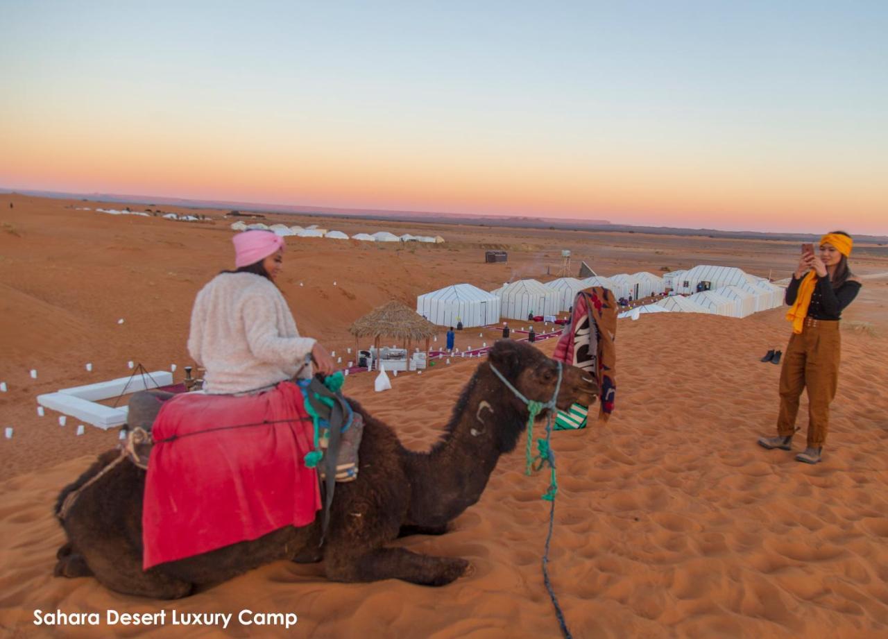 Sahara Desert Luxury Camp مرزوكة المظهر الخارجي الصورة